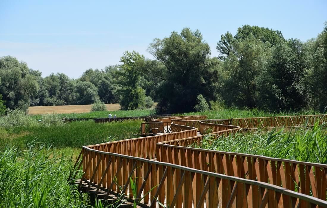 Beautiful nature reserve found in Slavonia-Baranja County, Croatia